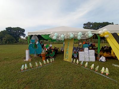 Hiasan Rumah Hijau
